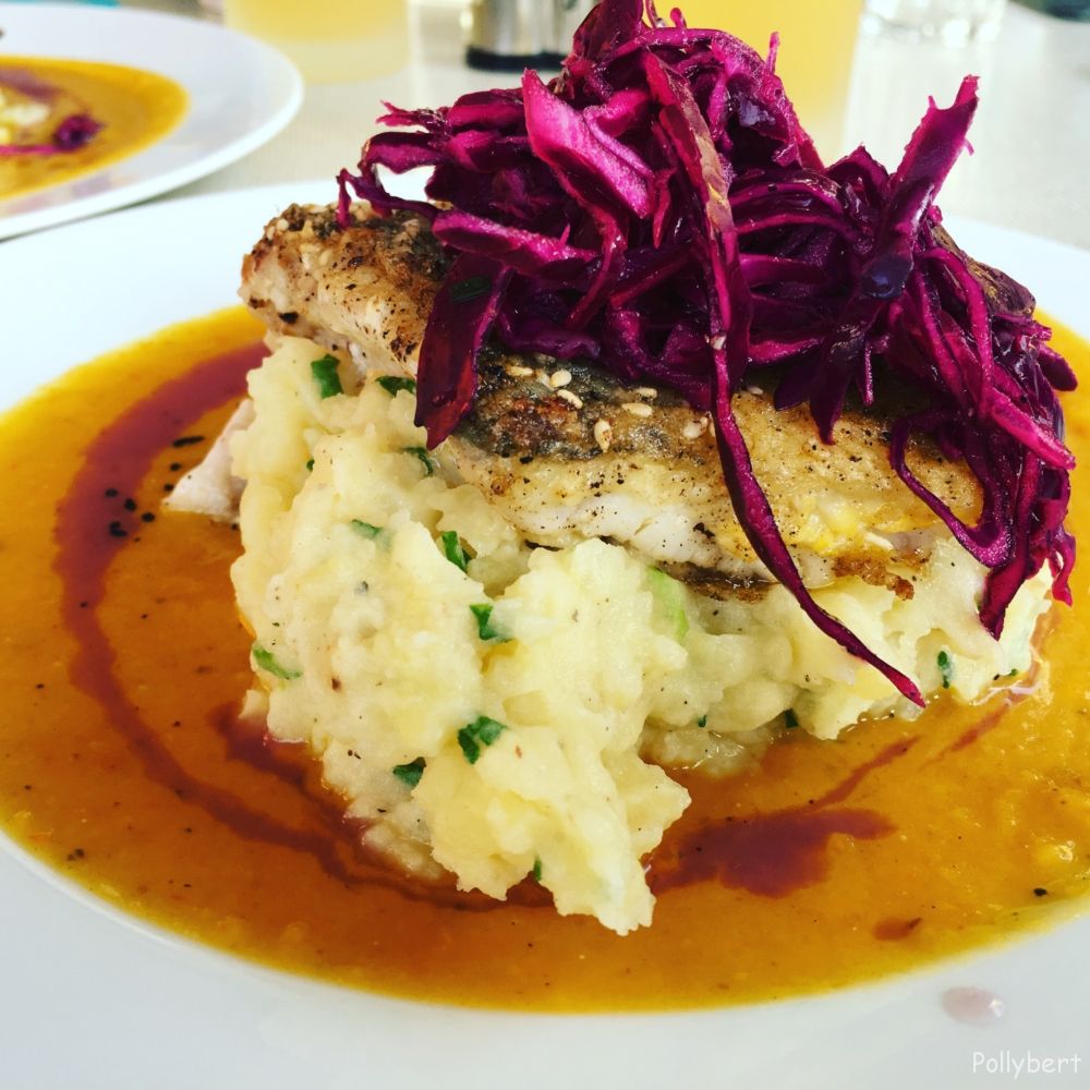 pike-perch with mashed potatoes, red cabbage and possible orange pumpkin cream