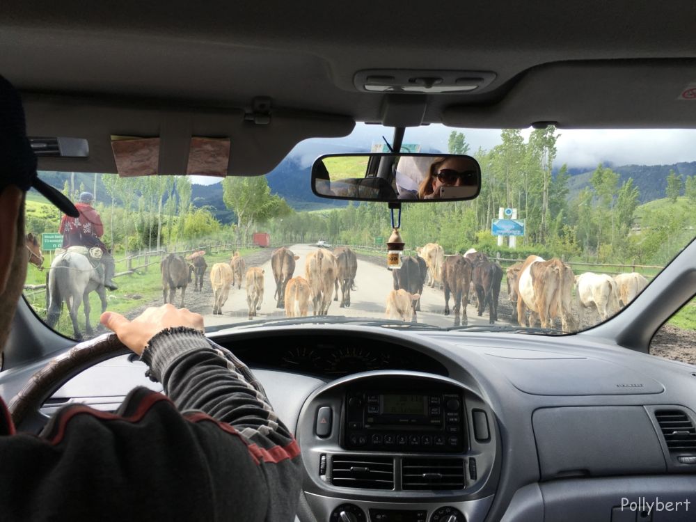 traffic in Kyrgyzstan
