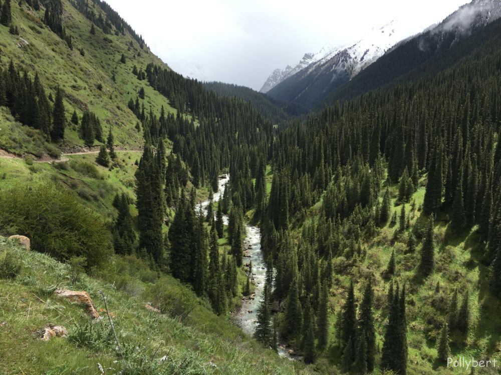on the way to Altyn Arashan