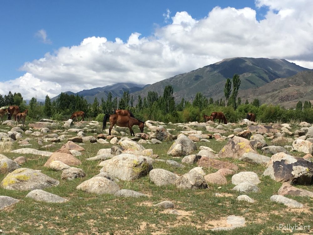 Cholpon-Ata @Kyrgyzstan