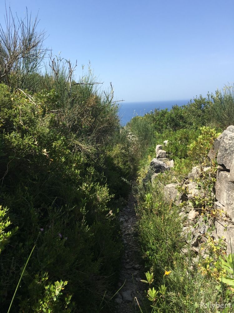 on the way to Tripitos @Paxos