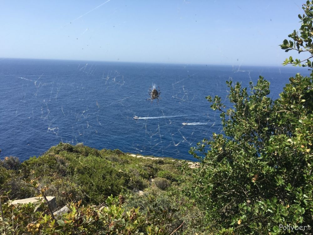 on the way to Tripitos @Paxos