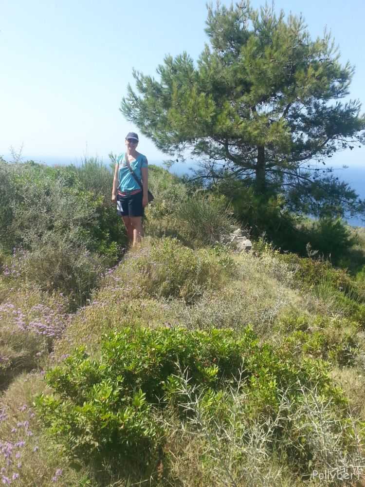 walking on the wild side @Paxos