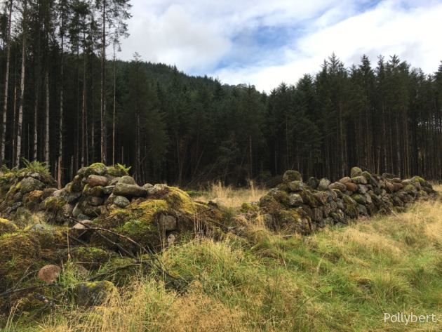 Scotland